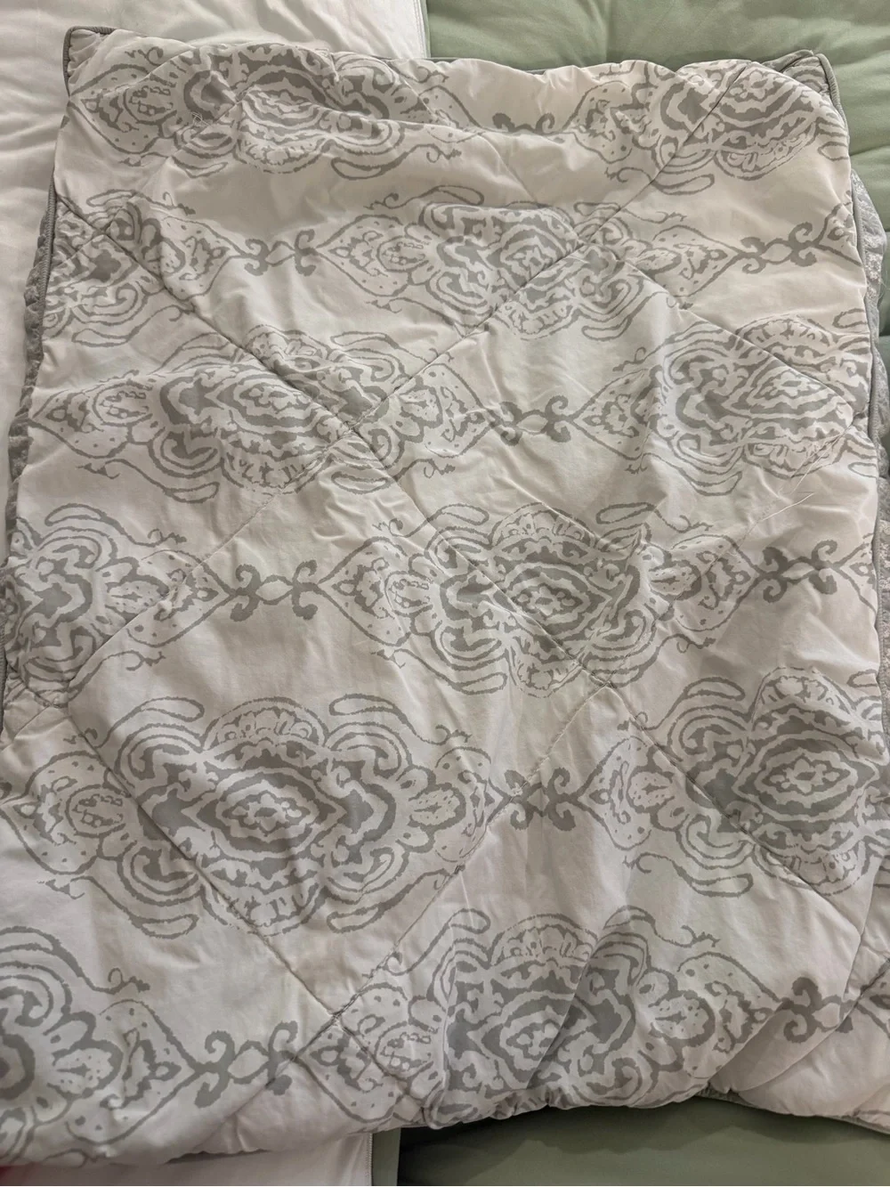 Pottery Barn Dessi Print Reversible Percale Shams (set of 2)